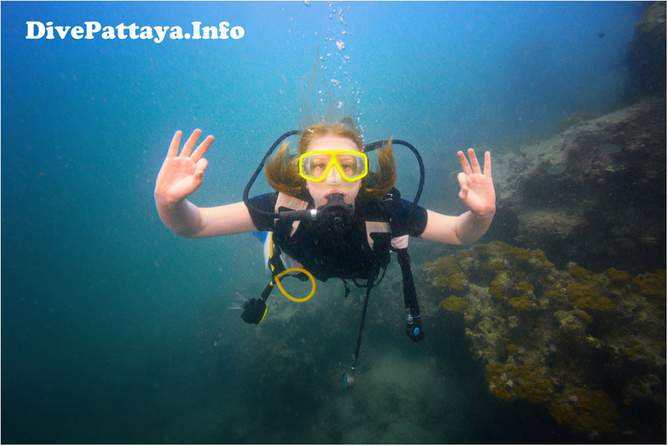 Дайвинг Паттайя Dive Pattaya Info