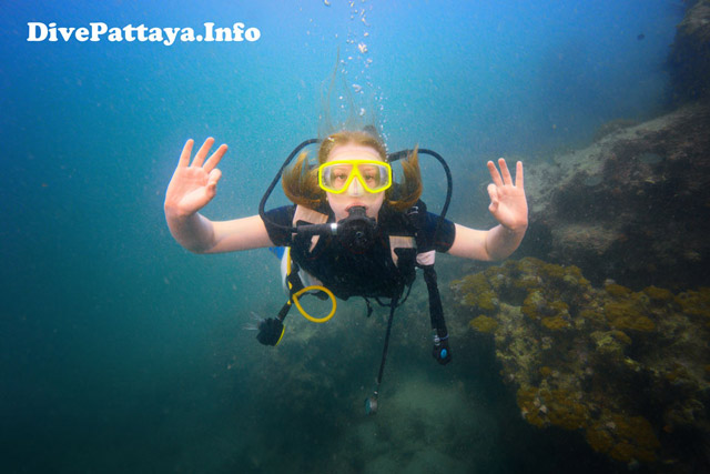 Дайвинг в Паттайе Dive Pattaya Info